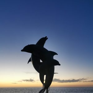 Fuente delfines Malecón Puerto Vallarta