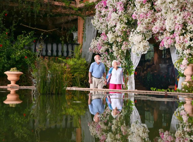 En Vallarta Mágico tenemos más de 10 años brindando experiencias a todos nuestros clientes y amigos. Queremos que vivas las mejores aventuras y en los mejores lugares.