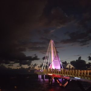 Muelle Malecón Puerto Vallarta