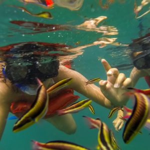 Snorkel Los Arcos Puerto Vallarta